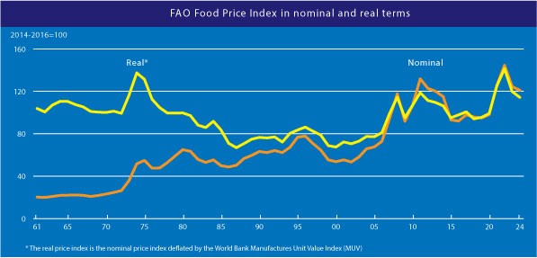 home graph 3 nov24 | 1